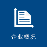 企业概况